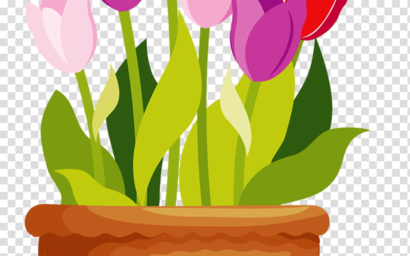 Flower Pot Drawing, Flowerpot, Tulip, Pink Flower Pot, Vase, Garden, Plant, Petal transparent background PNG clipart