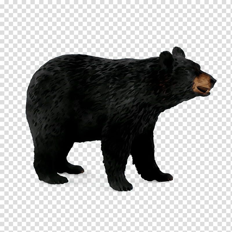 Bear, American Black Bear, Collecta, Grizzly Bear, Toy, Animal, Ceratosaurus, Leopard transparent background PNG clipart