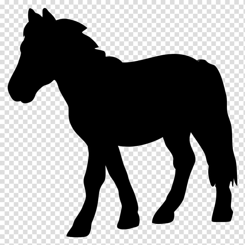 Horse, Mustang, Mule, Foal, Pony, Stallion, Silhouette, Connemara Pony transparent background PNG clipart