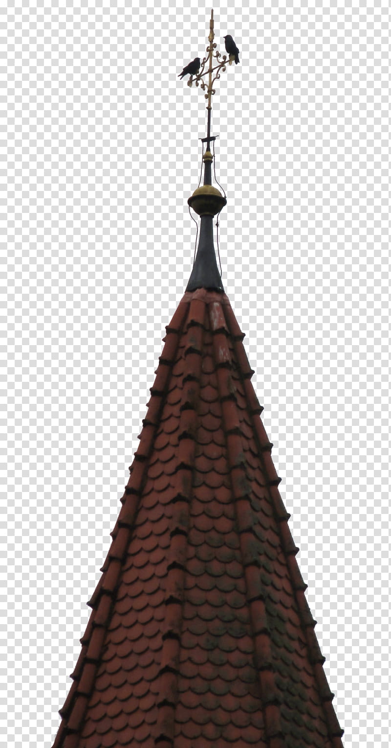 crows on Chruch top cross , brown and gray shingles transparent background PNG clipart
