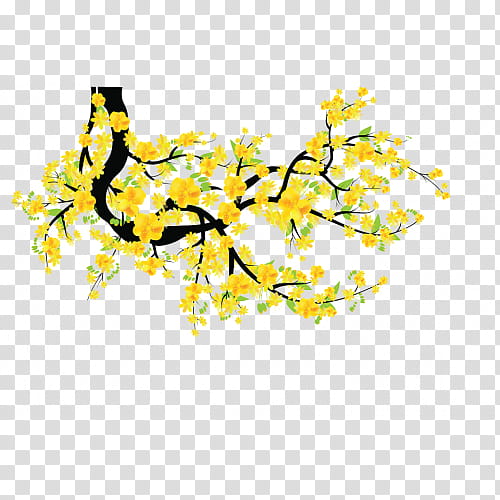 New Year Tree Drawing, Ochna Integerrima, Lunar New Year, bucket Inc, Branch, Yellow, Flower, Plant transparent background PNG clipart