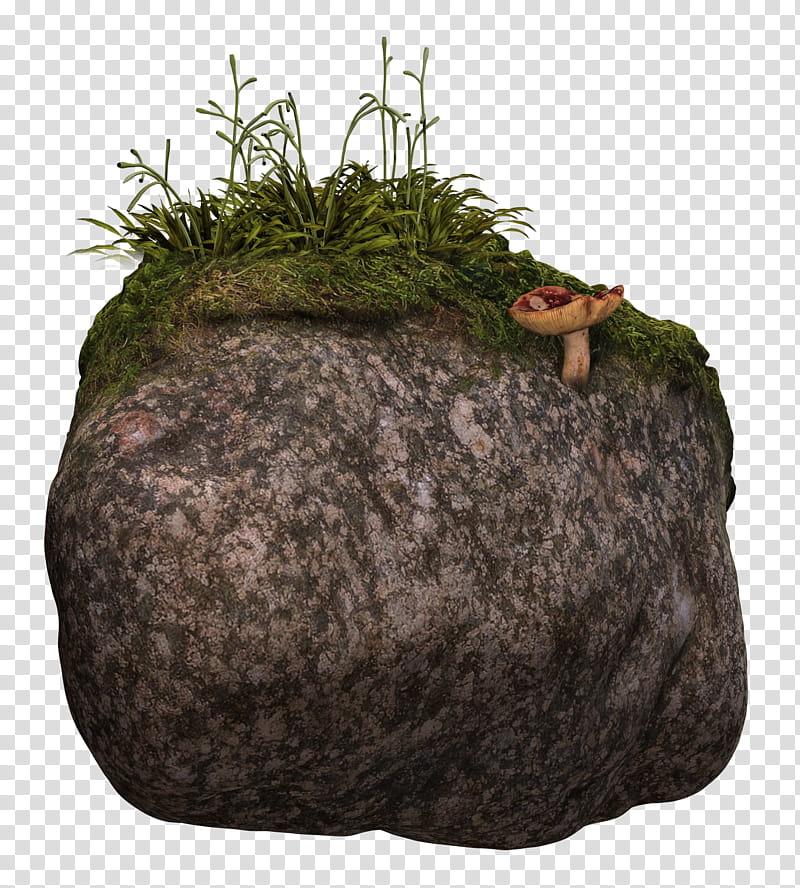 Mossy Rock I, mushroom on rock transparent background PNG clipart