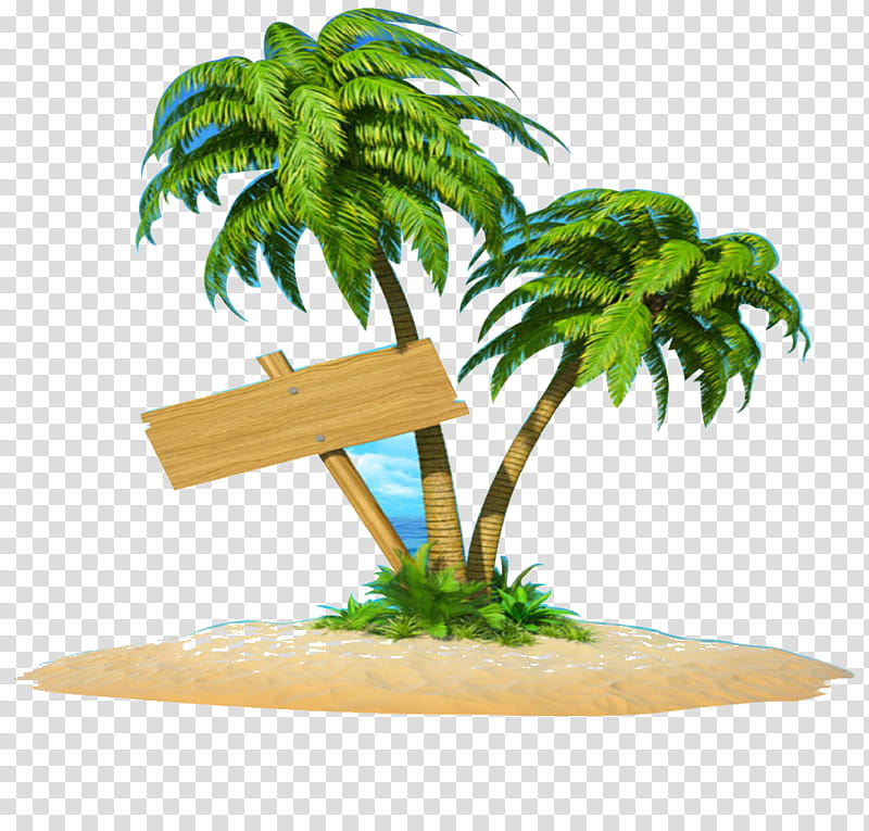 Coconut Tree, Island, Lodoicea, Palm Trees, Flowerpot, Aquarium Decor, Arecales, Plant transparent background PNG clipart