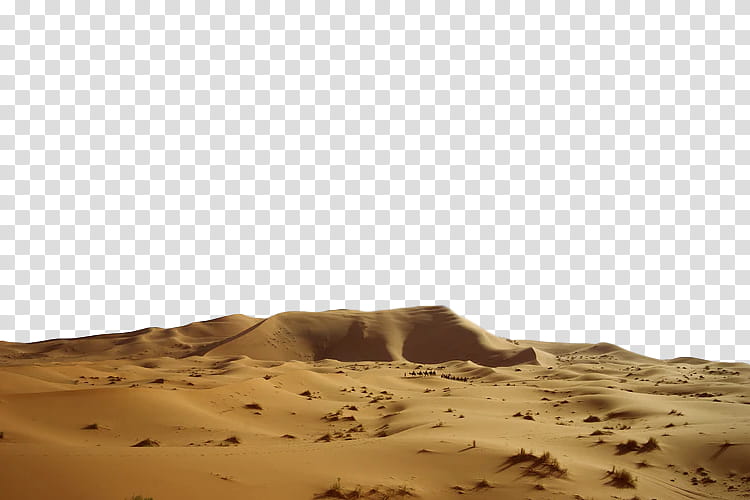 desert natural environment sand aeolian landform erg, Soil, Sahara, Landscape, Brown, Ecoregion transparent background PNG clipart