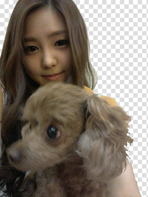 Son naeun transparent background PNG clipart