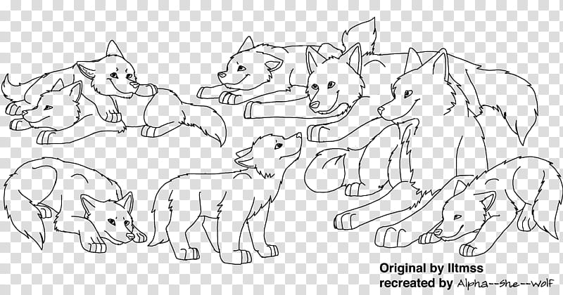 Wolf family lineart, group of fox sketch transparent background PNG clipart