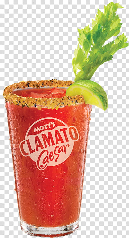 Tomato, Caesar, Bloody Mary, Clamato, Michelada, Bacon Vodka, Tomato Juice, Cocktail transparent background PNG clipart