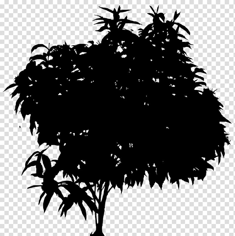 Palm Tree Silhouette, Oak, Twig, Elm, Beech, Leaf, Branch, Black transparent background PNG clipart