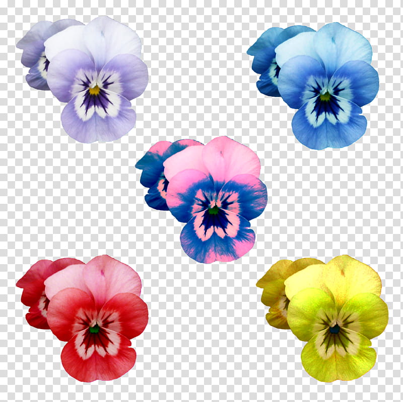 Flowers different colors, five assorted-color petaled flowers transparent background PNG clipart
