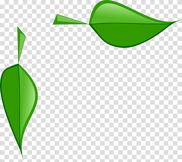 Green Leaf Logo, Drawing, Maple Leaf, Plants, Frond, Plant Stem, Palm Trees, Line transparent background PNG clipart