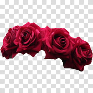 Flower Crowns, red rose decor transparent background PNG clipart