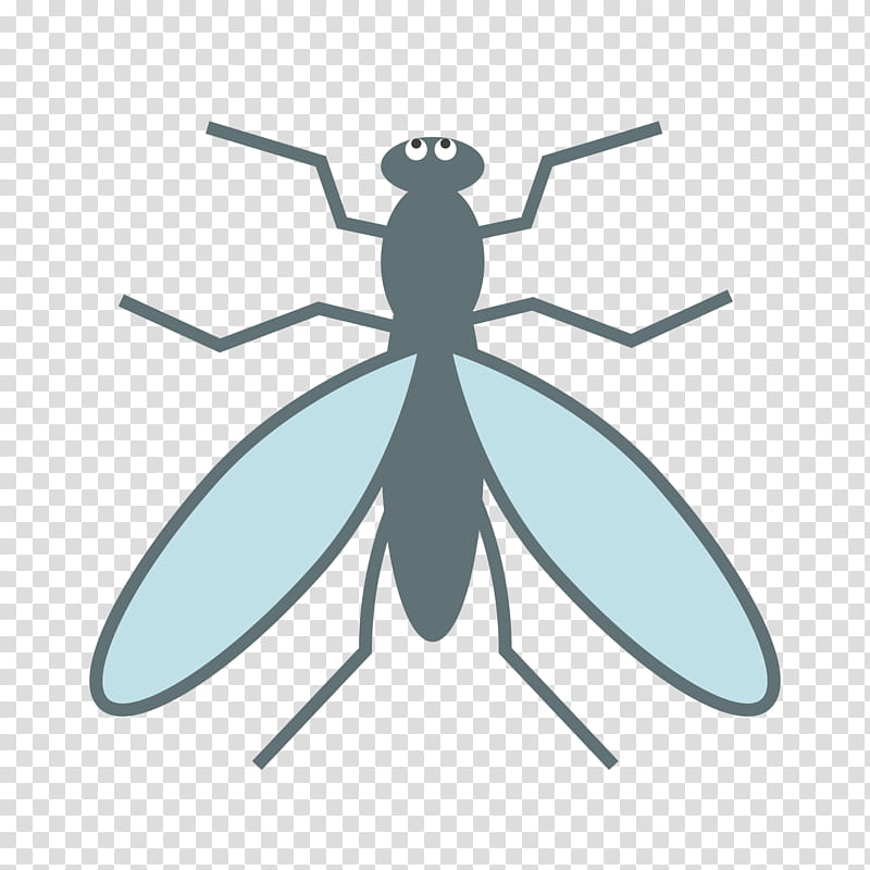 Mosquito Insect, Butterflies Insects, Pest, Pest Control, Fly, , Wing, Line transparent background PNG clipart