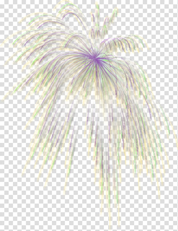 Flower Painting, Fireworks, Yandex, Frames, Yandexfotki, Avatar, Feather, Violet transparent background PNG clipart