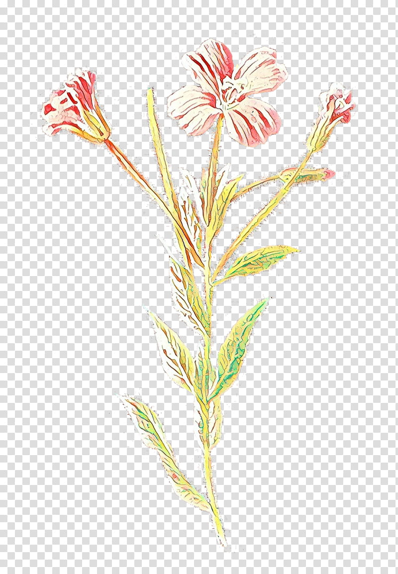 Drawing Of Family, Plants, Familiar Wild Flowers, Borders , Cartoon, Wildflower, Pedicel, Plant Stem transparent background PNG clipart
