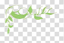 SET Postcards part, green leafed plant transparent background PNG clipart
