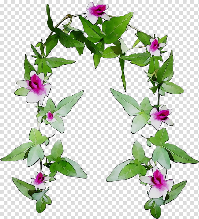 Flower Painting, Digital Painting, Thumb, Inch, Plants, Petal, Bougainvillea, Magenta transparent background PNG clipart