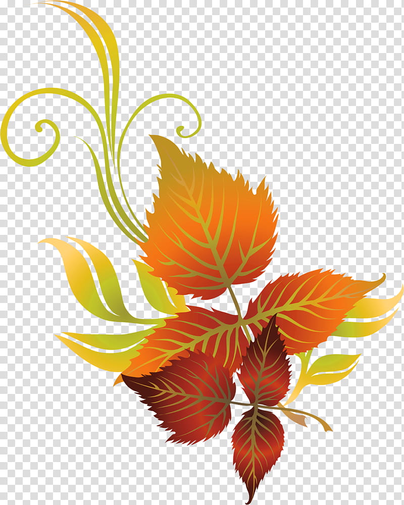 Autumn Garden, Autumn Leaf Color, Flower, Flower Garden, Plant, Orange, Tree transparent background PNG clipart