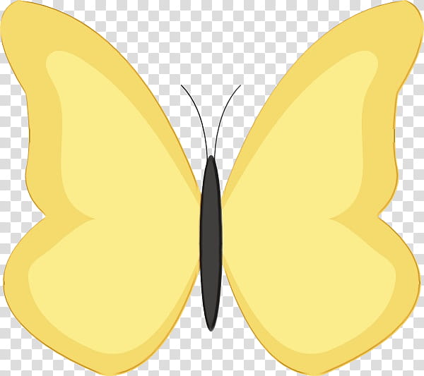 butterfly moths and butterflies insect yellow, Watercolor, Paint, Wet Ink, Pollinator, Wing, Symmetry transparent background PNG clipart