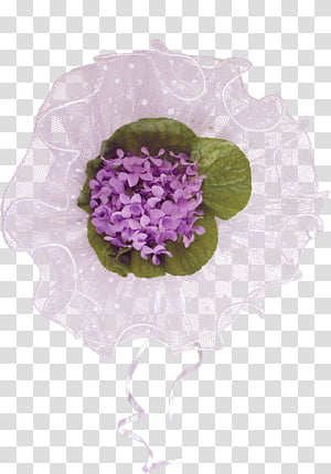 Violets set transparent background PNG clipart thumbnail