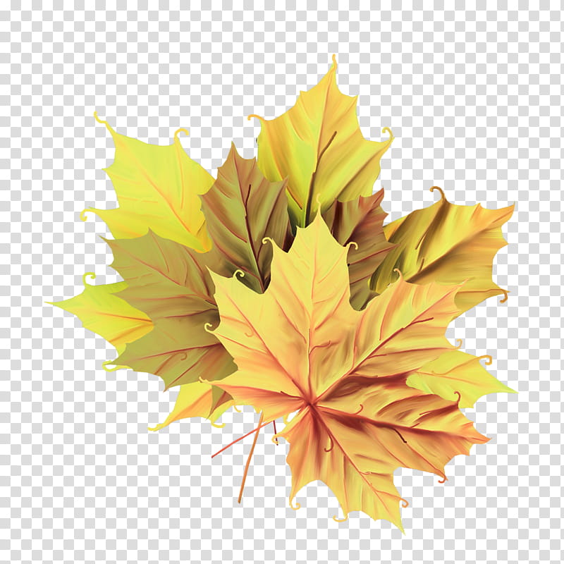Family Tree, Leaf, Autumn, Maple Leaf, Literature, 2018, Autumn Leaf Color, Winter transparent background PNG clipart Family Tree, Leaf, Autumn, Maple Leaf, Literature, 2018, Autumn Leaf Color, Winter transparent background PNG clipart