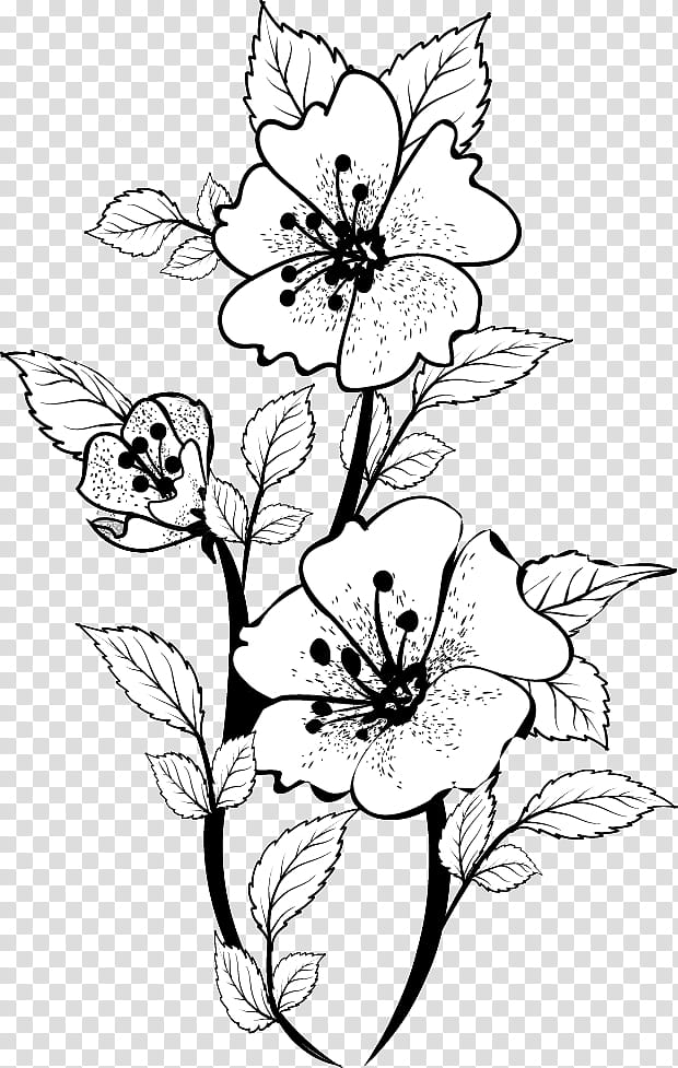 Flowers Brushes , white and black floral transparent background PNG clipart