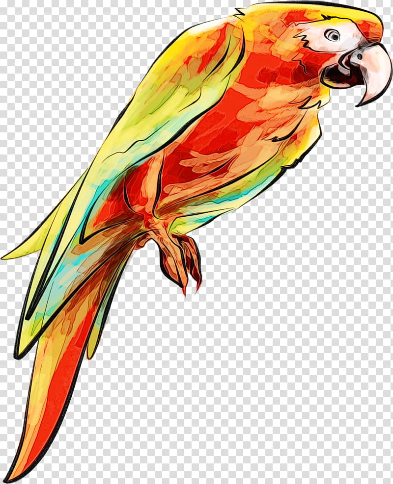 bird parrot macaw beak lorikeet, Watercolor, Paint, Wet Ink, Budgie, Parakeet, Wing transparent background PNG clipart