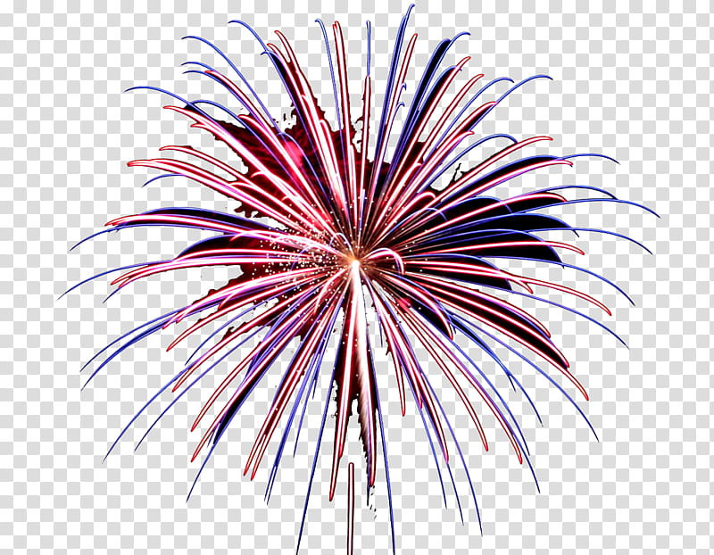 fireworks pink line event holiday, Recreation, Plant, Sparkler, Festival transparent background PNG clipart