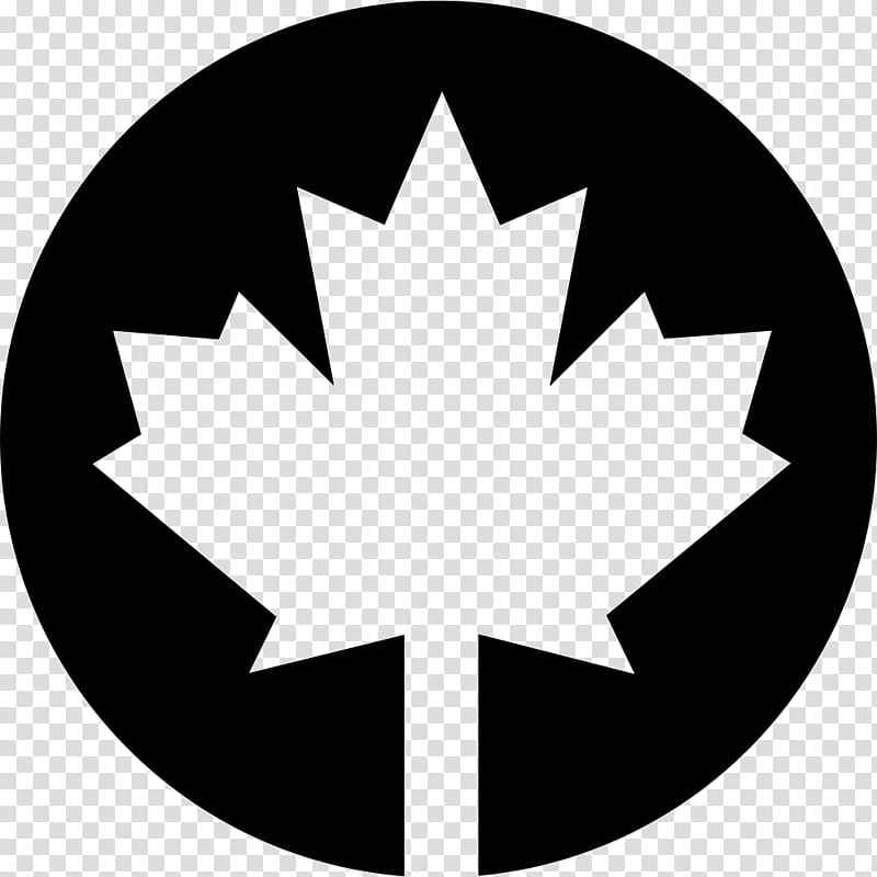 Canada Maple Leaf, Tshirt, Flag Of Canada, Clothing, Canadian Gold Maple Leaf, National Symbols Of Canada, Fashion, Zazzle transparent background PNG clipart
