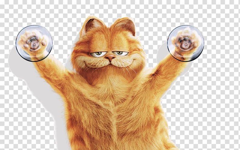 Garfield with suction caps transparent background PNG clipart
