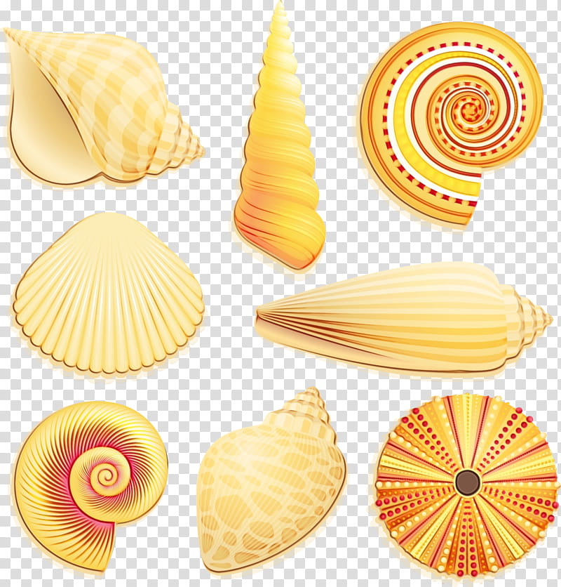 Junk Food, Seashell, Beach, Mollusc Shell, Drawing, Nautilidae, Conchiglie, Cuisine transparent background PNG clipart