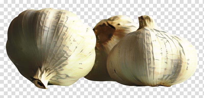 Onion, Garlic, Vegetable, Plant, Food, Allium, Still Life transparent background PNG clipart
