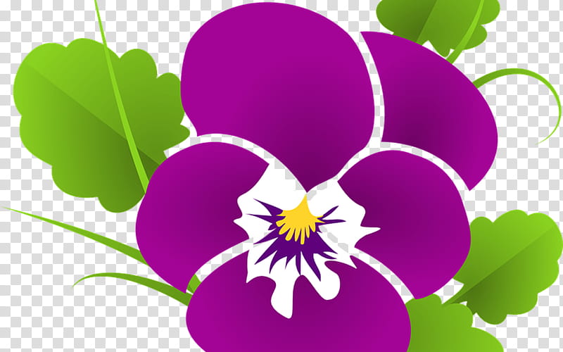 Good Morning, Rose, Wish, Pansy, Flower, Night, Dark Red Rose Flower, Violet transparent background PNG clipart
