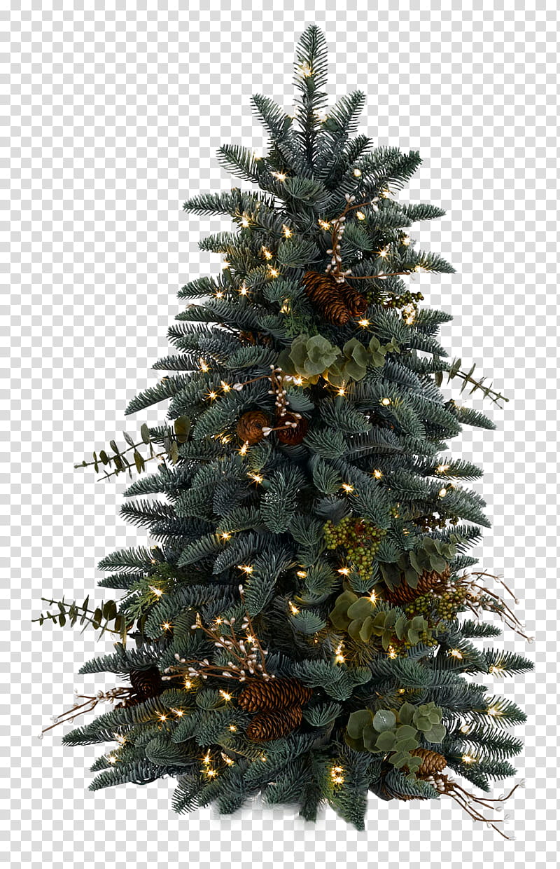 Xmas tree , green Christmas tree transparent background PNG clipart