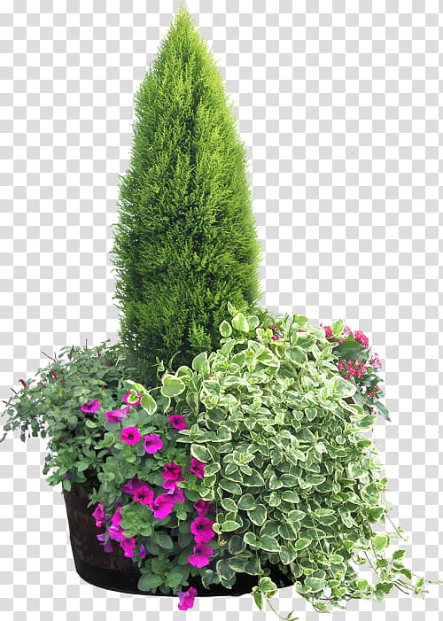 Conifer Tree, Landscape, Painting, Landscape Painting, Shadow, Plant, Flowerpot, Shrub transparent background PNG clipart