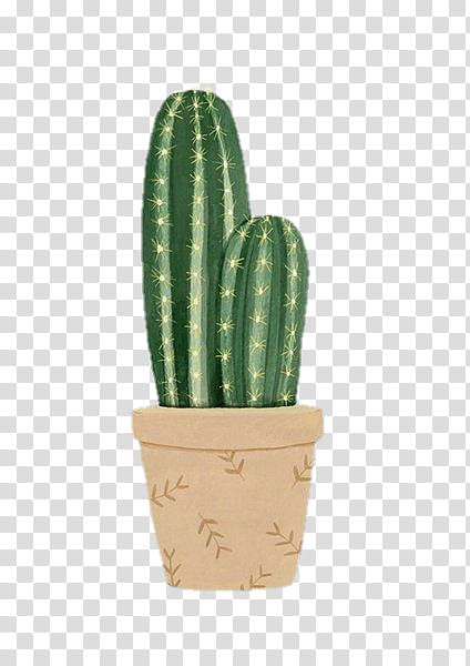 Cactus, Green, Flowerpot, Plant, Saguaro, Houseplant, San Pedro Cactus, Caryophyllales transparent background PNG clipart