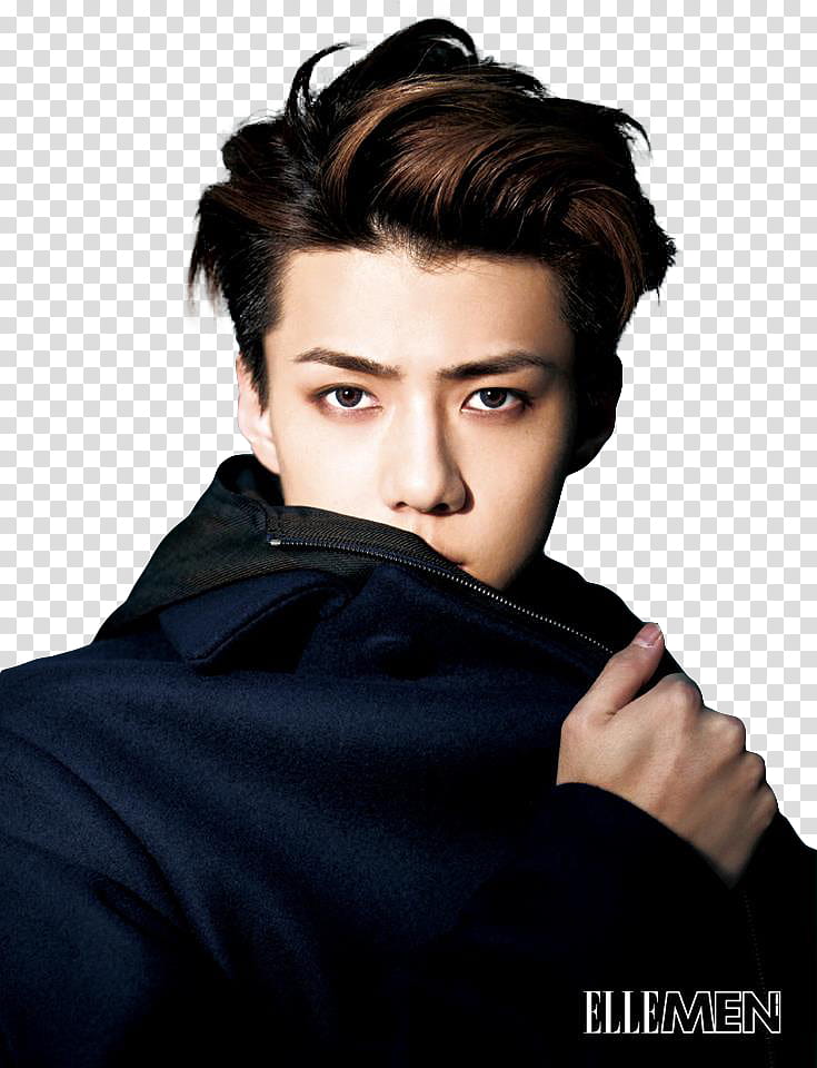 Chanyeol Sehun Lay EXO , sehun transparent background PNG clipart