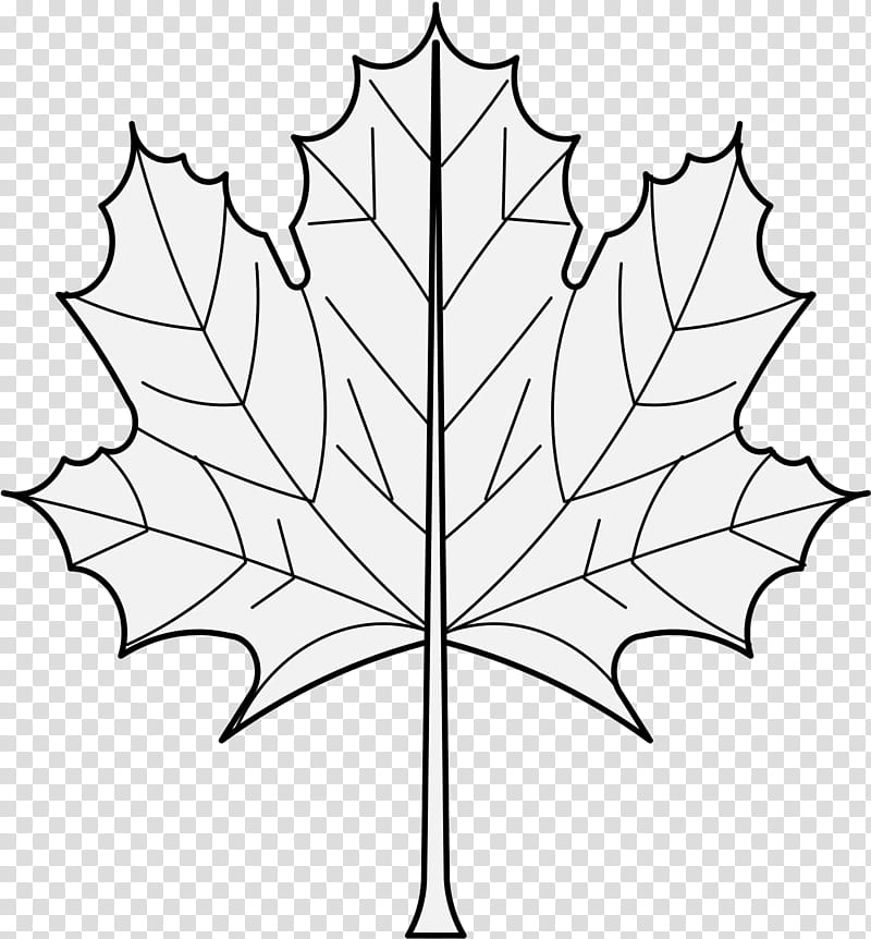 Black And White Flower Maple Leaf Plant Stem Maple Leaf Canada White Flag Of Canada Branch Plants Tree Transparent Background Png Clipart Hiclipart