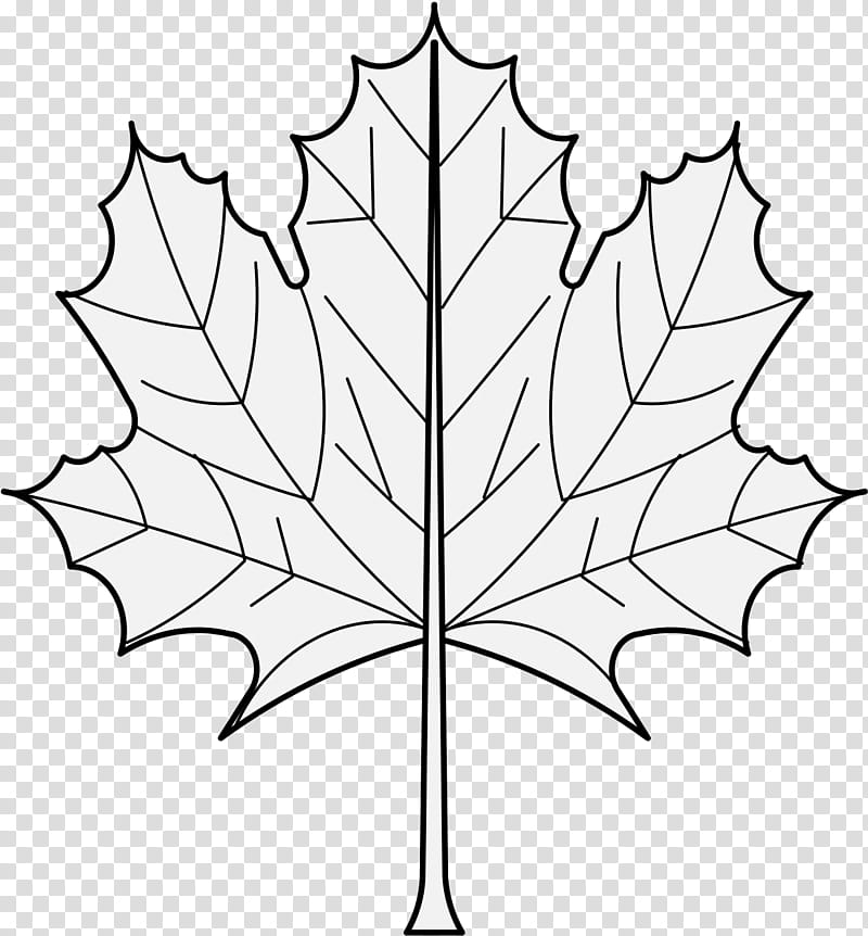 maple tree clip art black and white