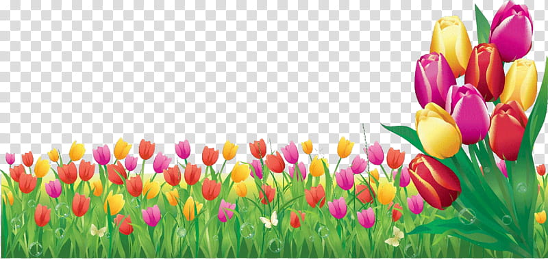 tulip petal flower lady tulip plant, Cartoon, Spring
, Flowering Plant, Meadow, Grass transparent background PNG clipart