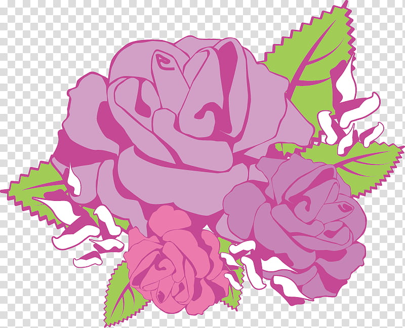 three flowers three roses valentines day, Pink, Plant, Garden Roses, Rose Family, Cut Flowers, Magenta, Petal transparent background PNG clipart