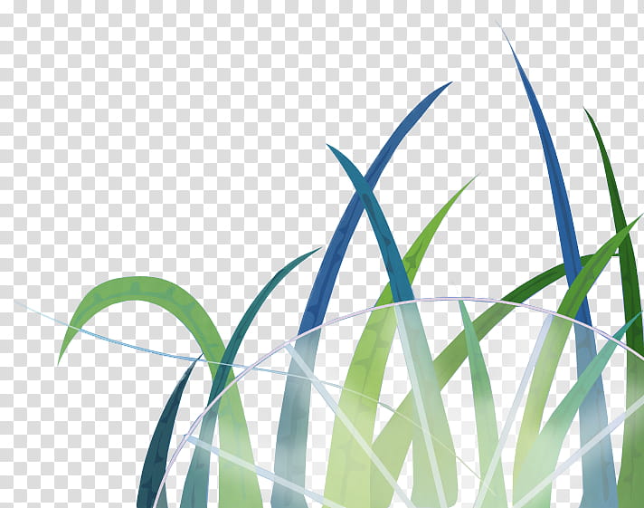 Texture , green and blue grass graphic transparent background PNG clipart