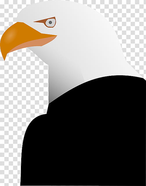 Hornbill Bird, Bald Eagle, Drawing, Golden Eagle, Beak, Eagle Eye, Toucan, Bird Of Prey transparent background PNG clipart