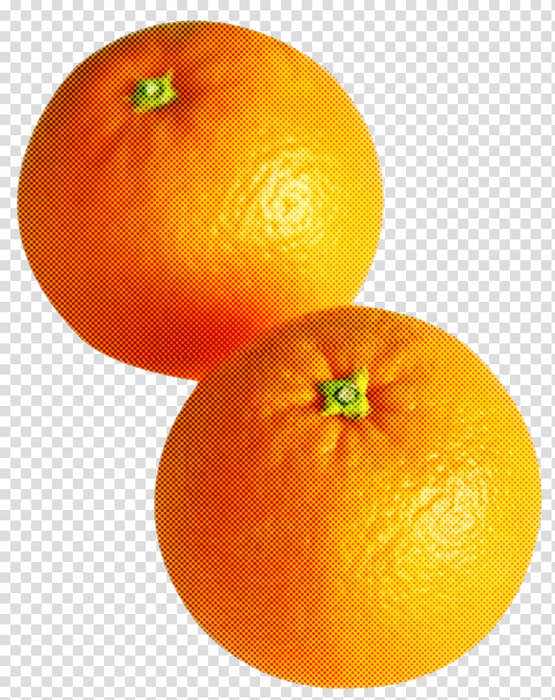 Orange, Mandarin Orange, Fruit, Citrus, Valencia Orange, Tangerine, Tangelo, Clementine transparent background PNG clipart