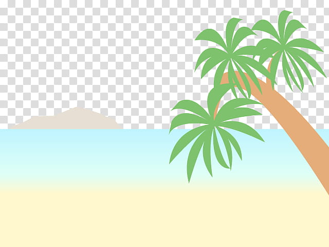 Palm Tree Drawing, Palm Trees, Coconut, Season, Summer
, Plants, Leaf, Green transparent background PNG clipart