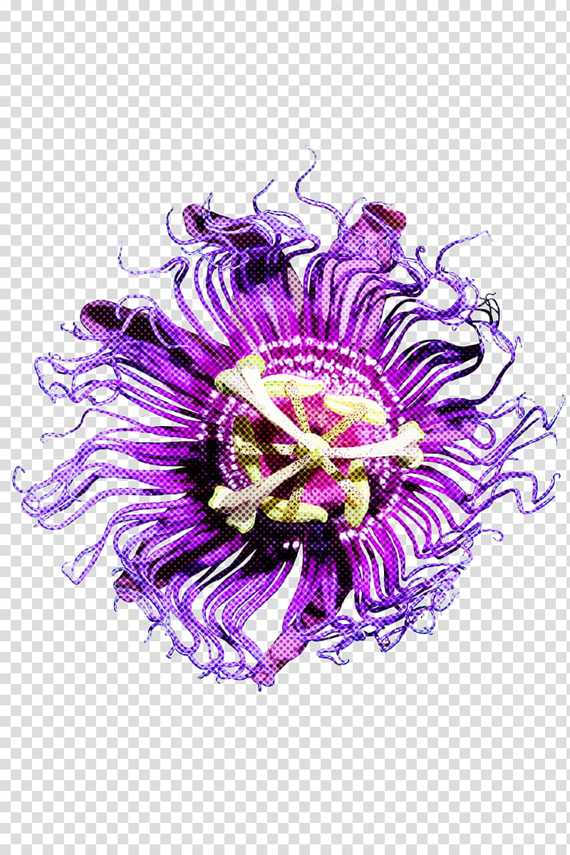 violet purple passionflower purple passion flower flower, Passion Flower Family, Plant, Giant Granadilla, Petal, Aster, Wildflower transparent background PNG clipart