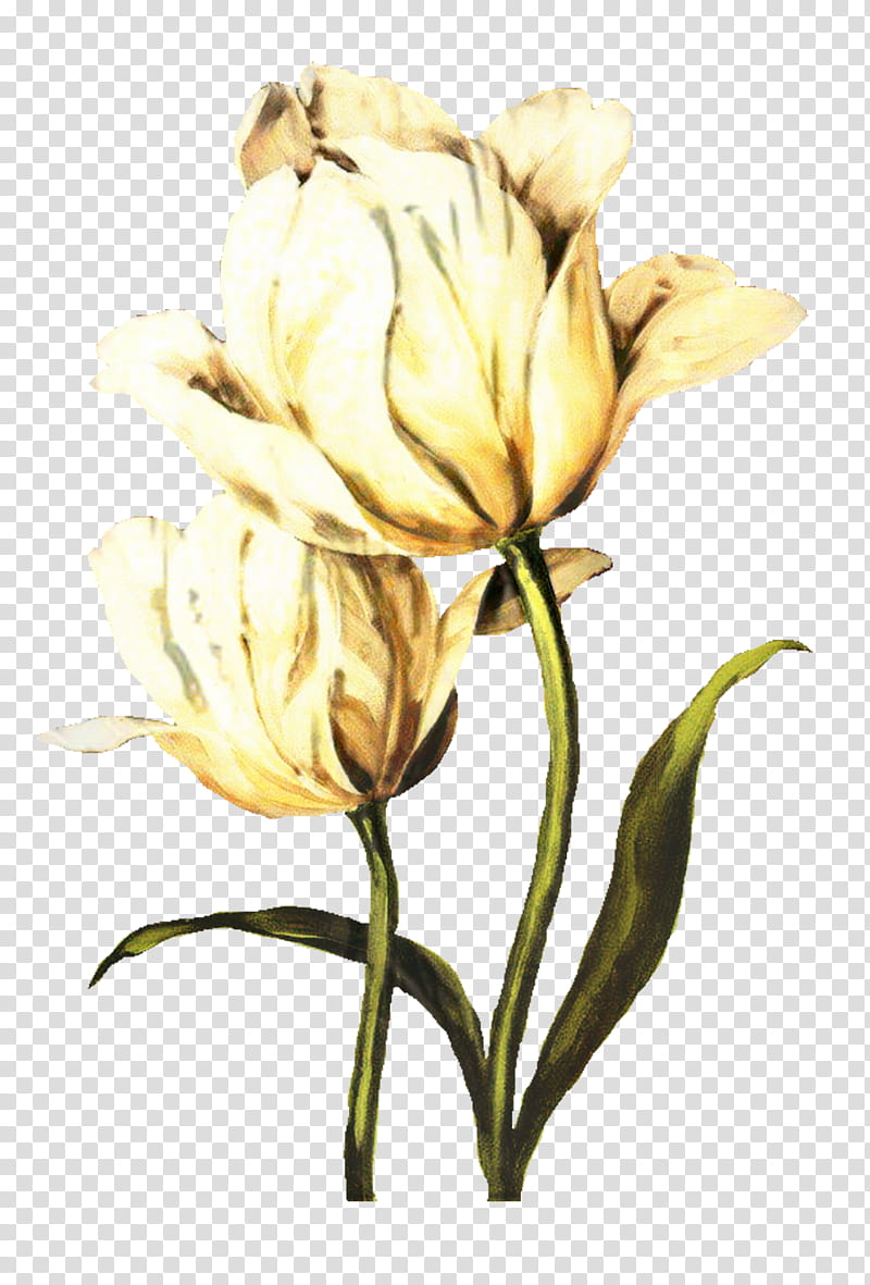 Oil Painting Flower, Amycus Carrow, Alecto Carrow, Watercolor Painting, Flower Painting, Canvas, Decoupage, Floral Design transparent background PNG clipart