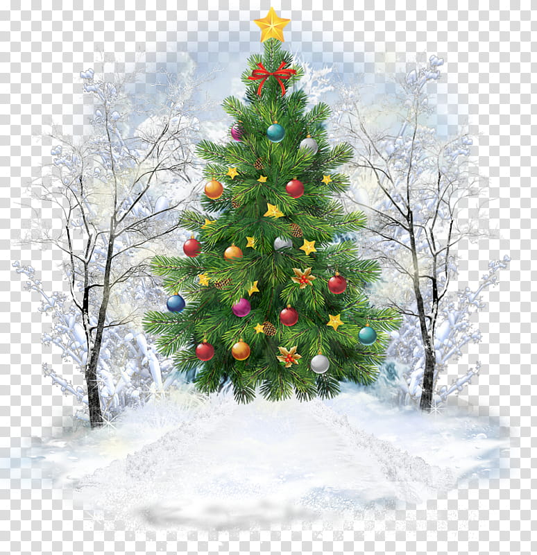 Christmas And New Year, Christmas Tree, Christmas Day, Santa Claus, Christmas Ornament, Fir, New Year Tree, Christmas Gift transparent background PNG clipart