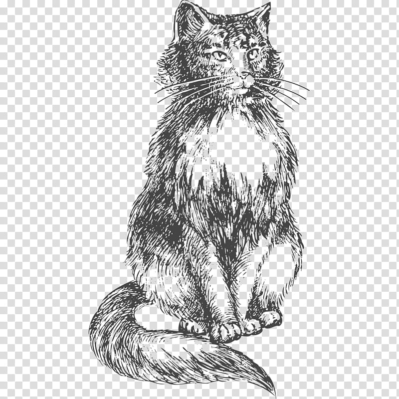 Dog And Cat, Drawing, Black Cat, Black And White
, Whiskers, Wild Cat, Wildlife, Paw transparent background PNG clipart