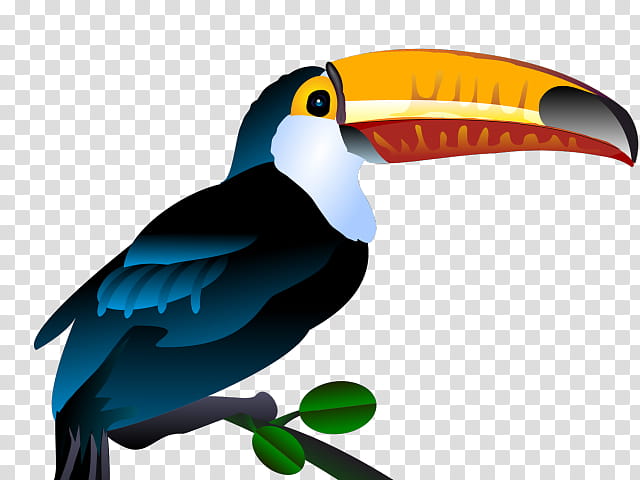 Bird Parrot, Toucan, Toco Toucan, Whitethroated Toucan, Beak, Keelbilled Toucan, Macaw, Piciformes transparent background PNG clipart