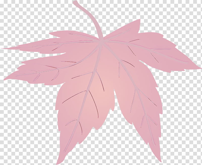 maple leaf fallen leaf dead leaf, Autumn Leaf, Pink, Tree, Plant, Woody Plant, Plane, Flower transparent background PNG clipart